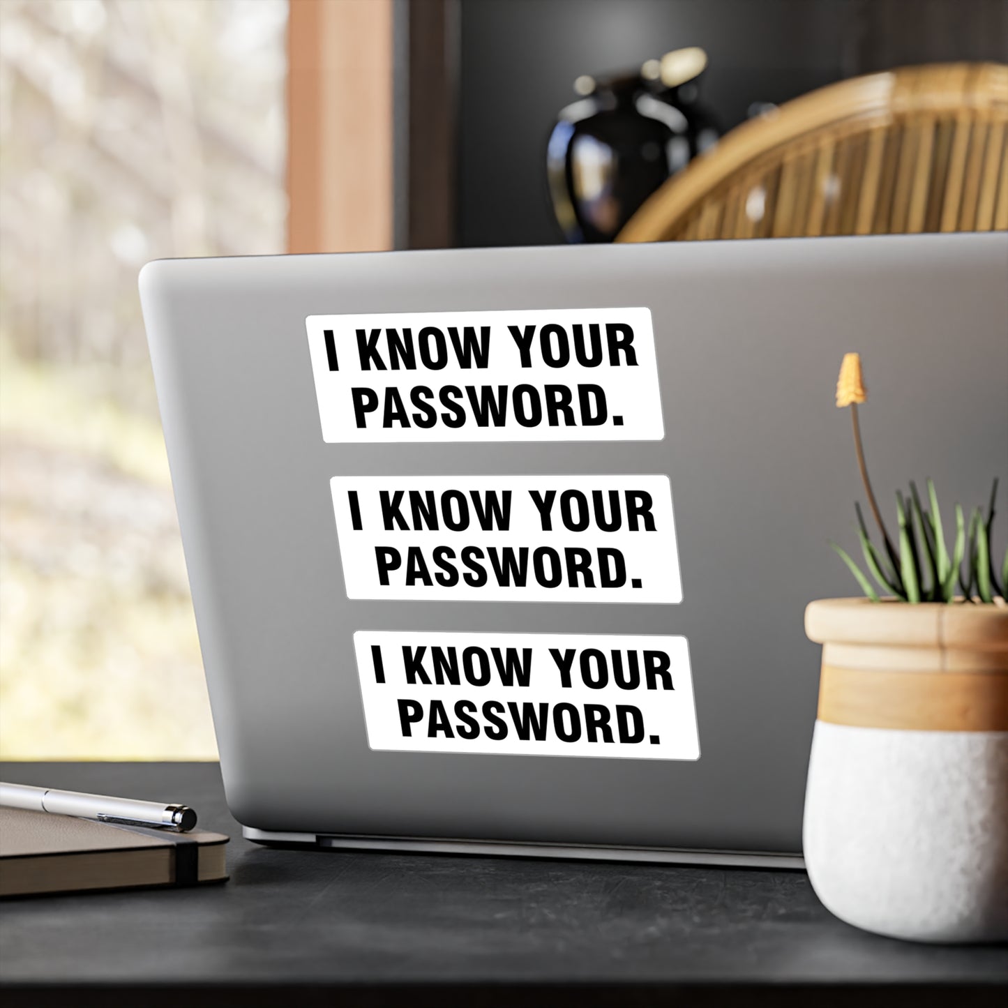 I Know Your Password ×3